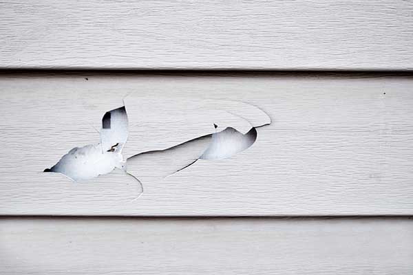 Siding Repair Services
